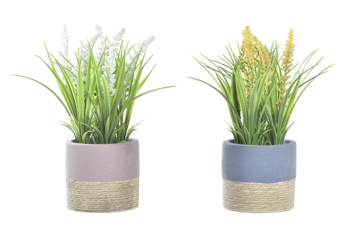 Pianta Decorativa con Vaso Rustico